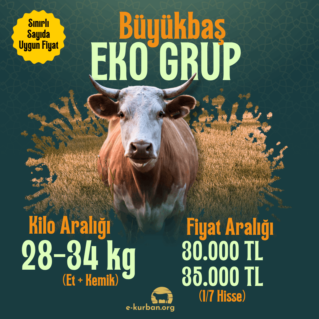 Ekonomik Büyükbaş Kurban Fiyatları 2026