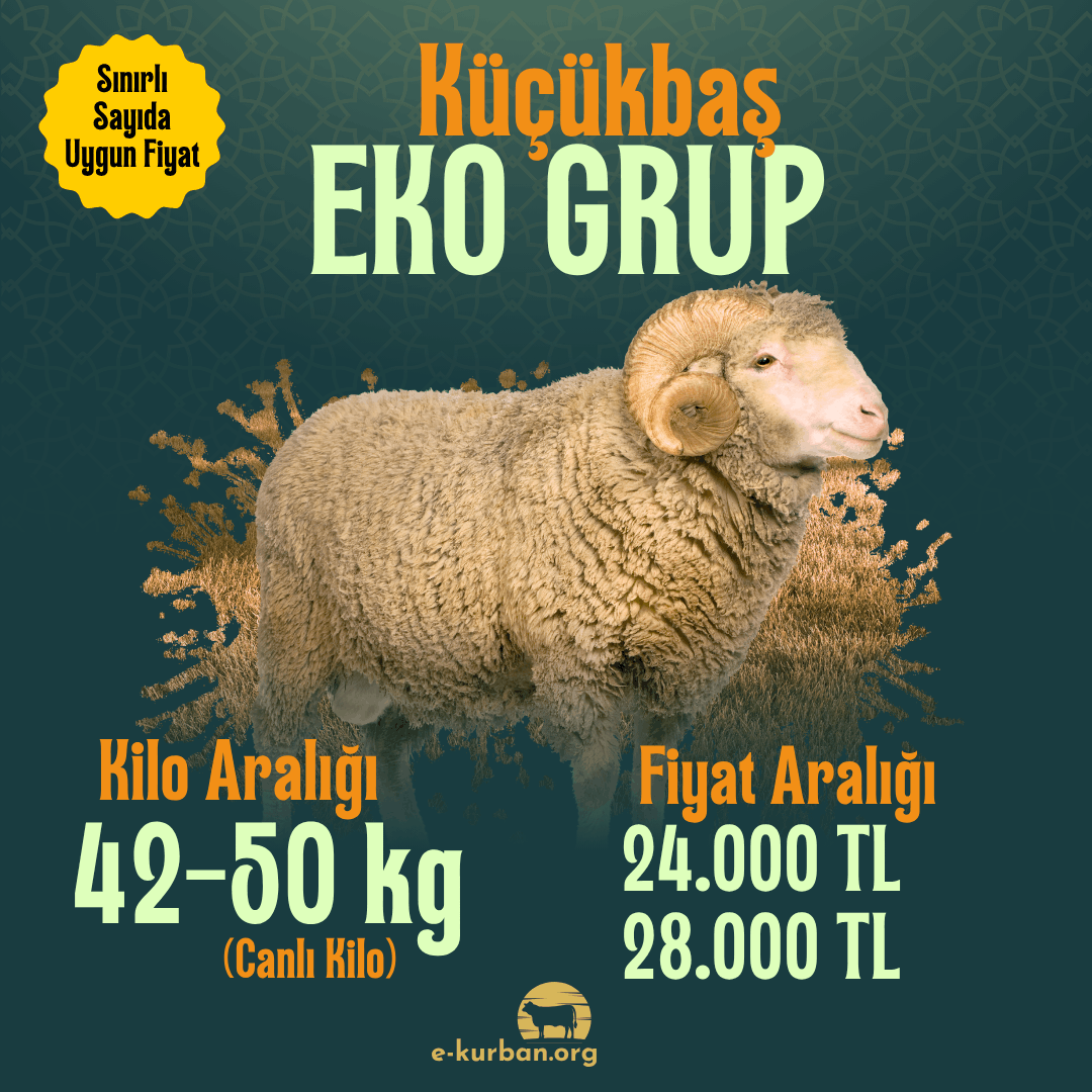 Ekonomik Küçükbaş Kurban Fiyatları 2026
