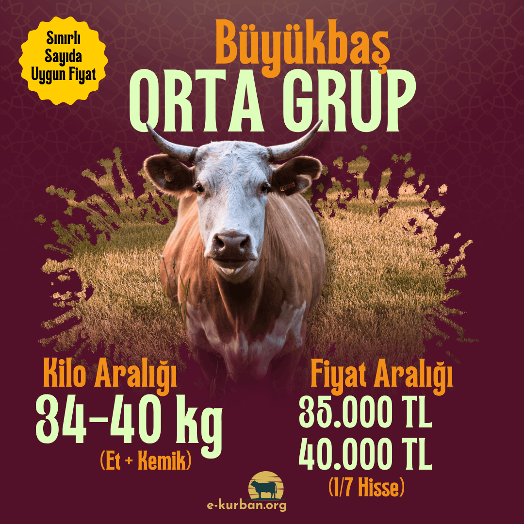 Büyükbaş Kurban Fiyatları 2026