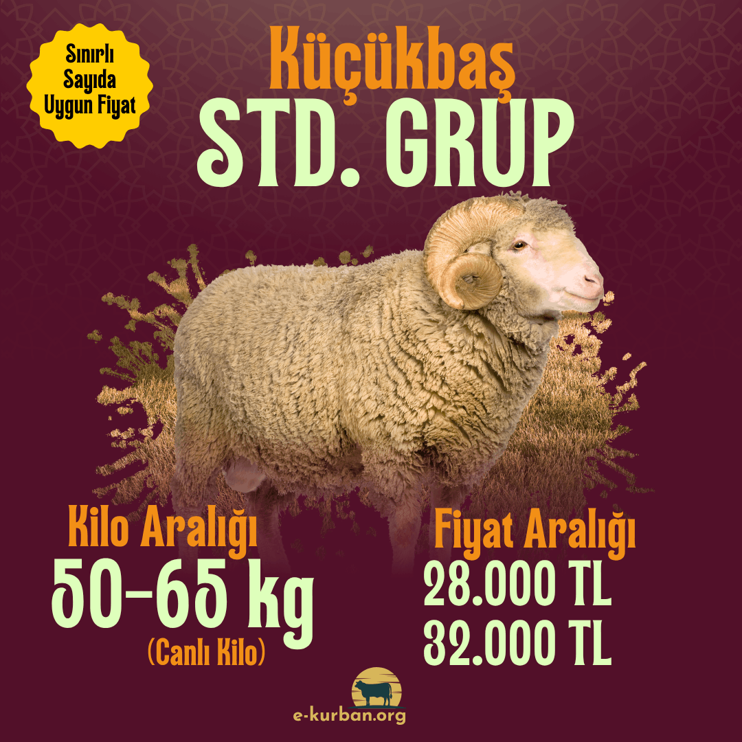 Küçükbaş Kurban Fiyatları 2026