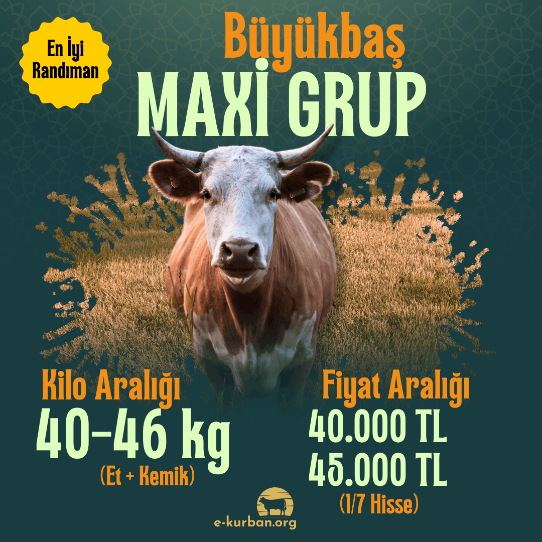 Kurban Fiyatları 2026