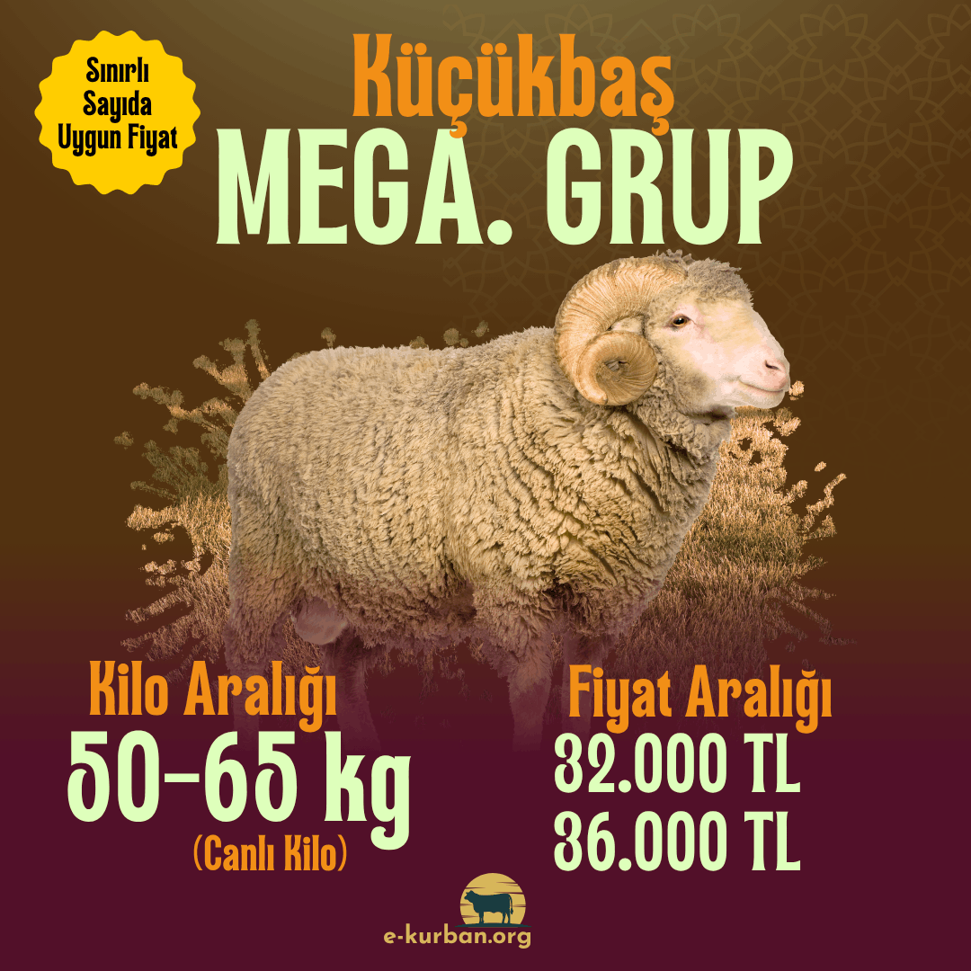 Küçükbaş Kurban Fiyatları 2026
